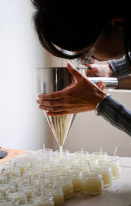 Curso Digital Velas de Soya  Para Profesionales