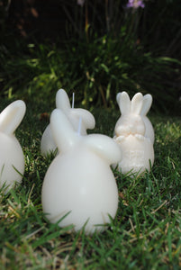 Duo Bunny