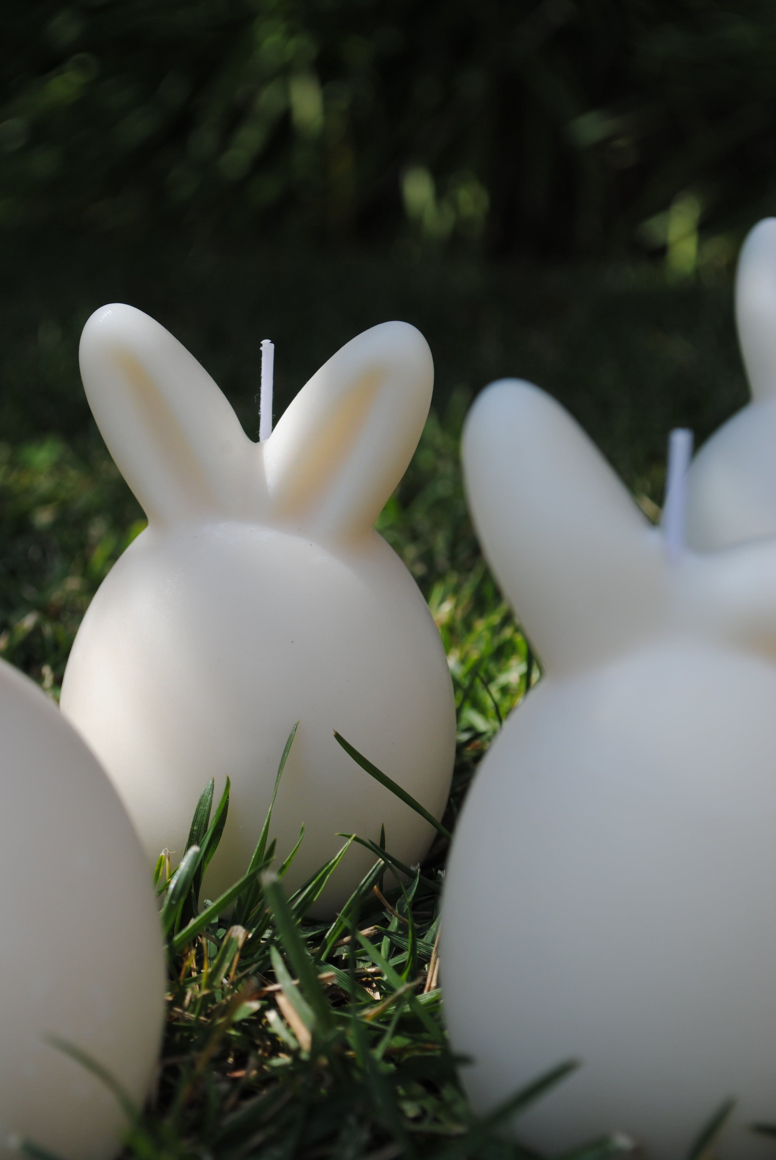 Duo Bunny